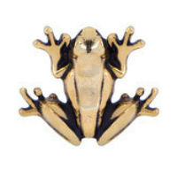 Gold Coqui Frog Charm