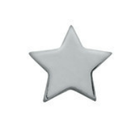 Silver Star Charm