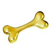 Gold Bone Charm